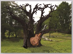guitar sculptée dans arbre
